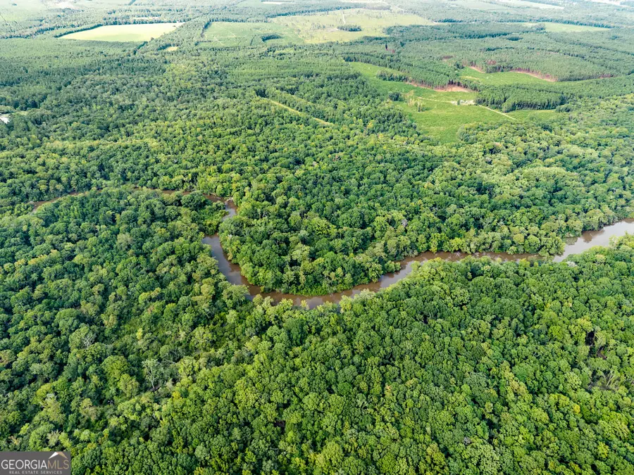 232 ACRES Old River Road N, Statesboro, GA 30461 - Image #2