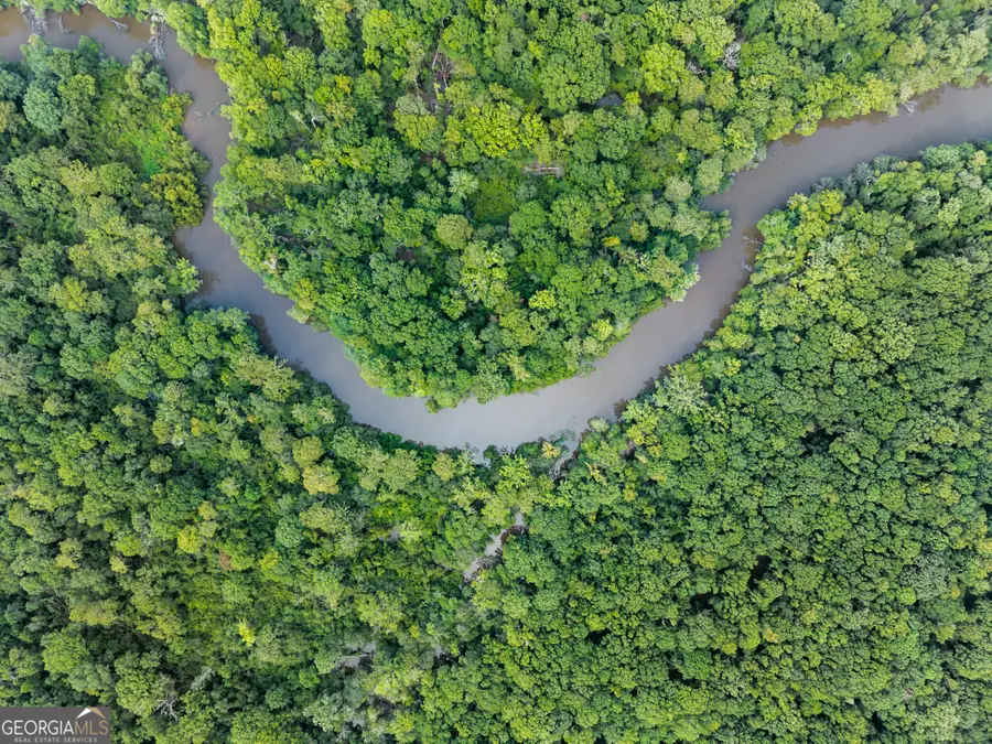 232 ACRES Old River Road N, Statesboro, GA 30461 - Image #3