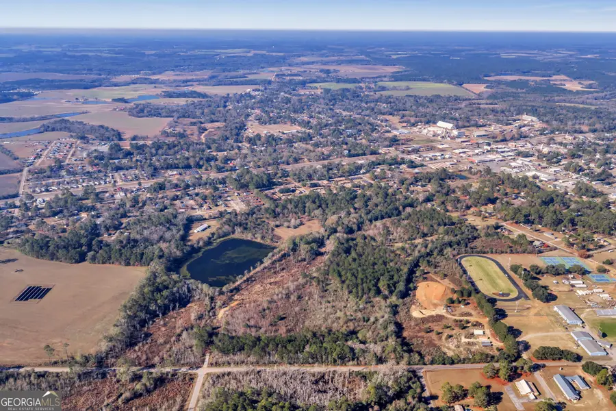 0 Randall Whiddon Drive, Ashburn, GA 31714 - Image #2