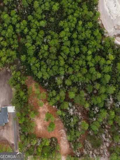 1743 Shawnee Egypt Road, Springfield, GA 31329 - Image #3