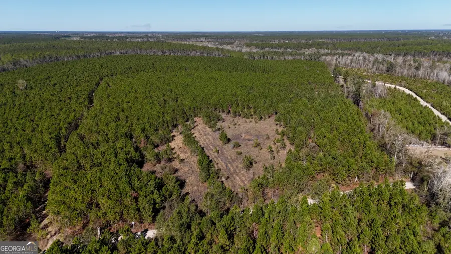 19 AC Owens Road, Odum, GA 31555 - Image #2