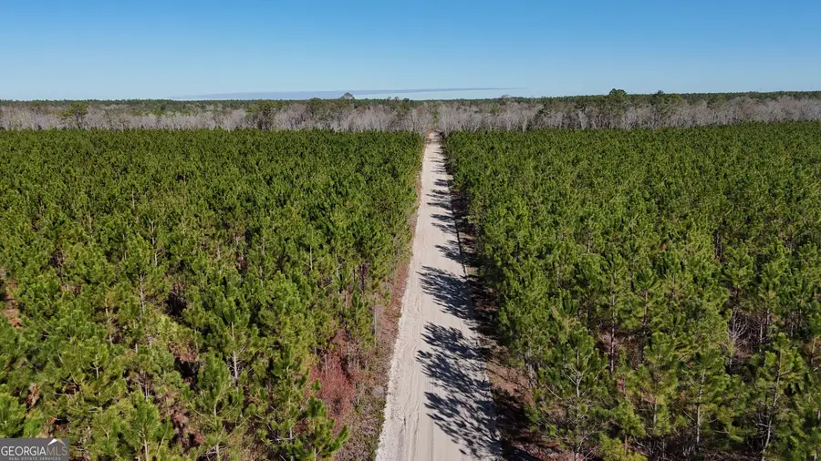 12 AC Owens Road, Odum, GA 31555 - Image #3