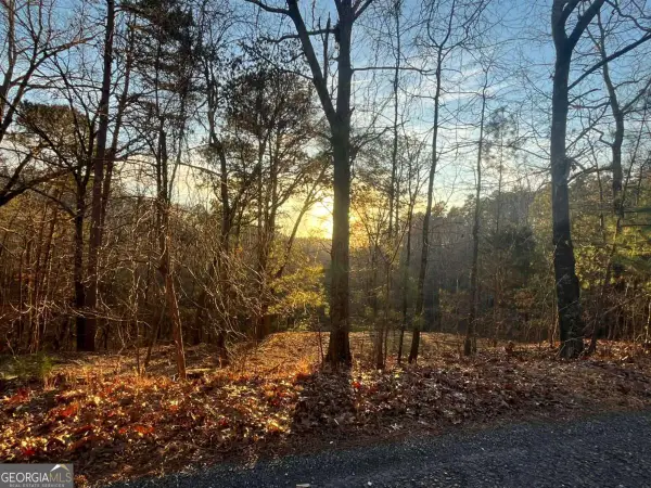 331 Paladin Drive Ne, Ranger, GA 30734