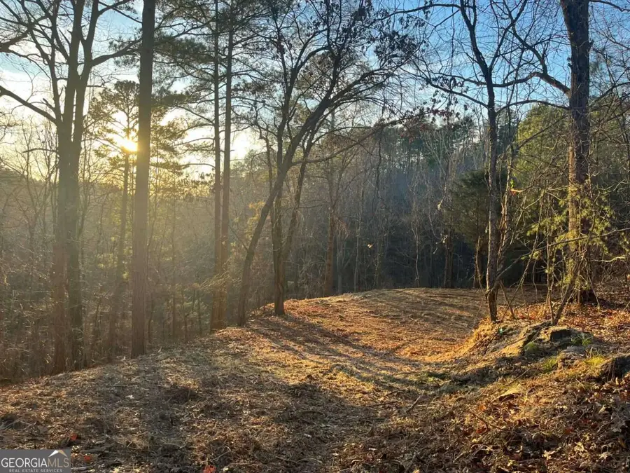 331 Paladin Drive Ne, Ranger, GA 30734 - #2