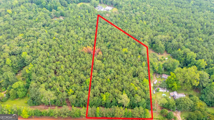 0 Durand Highway, Warm Springs, GA 31830 - Image #3