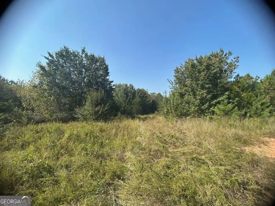 0 Blanche Road, Cedartown, GA 30125 - Image #2