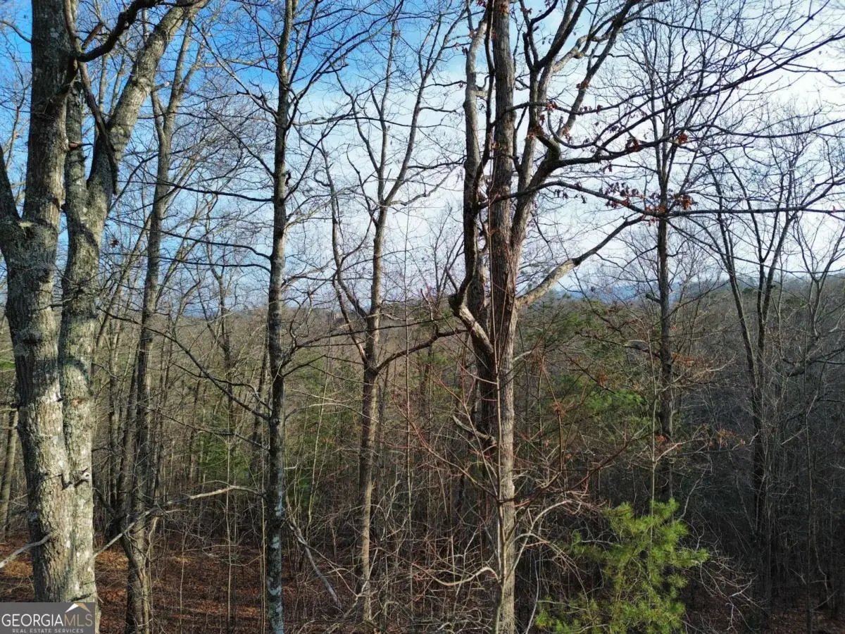 TRACT 2 Century Lane, Blue Ridge, GA 30513 - Image #1