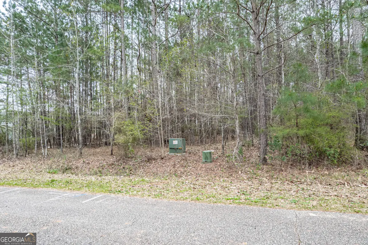 203 Hidden Lakes Drive, Gray, GA 31032 - Image #1