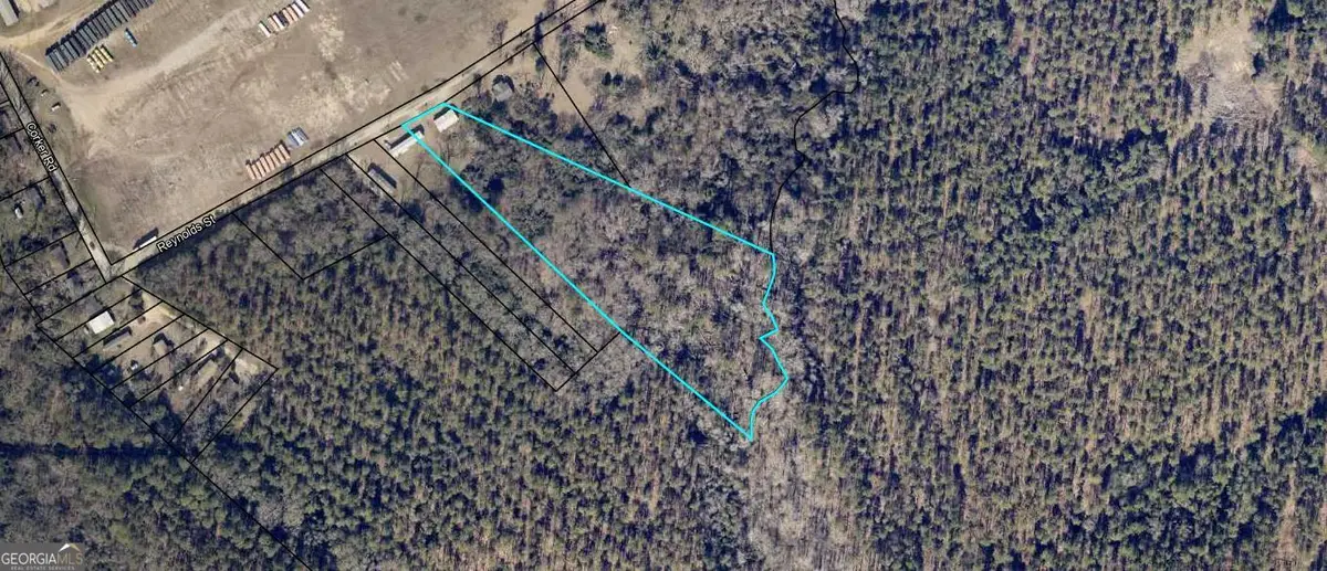 0 Reynolds Street, Waynesboro, GA 30830 - Image #1