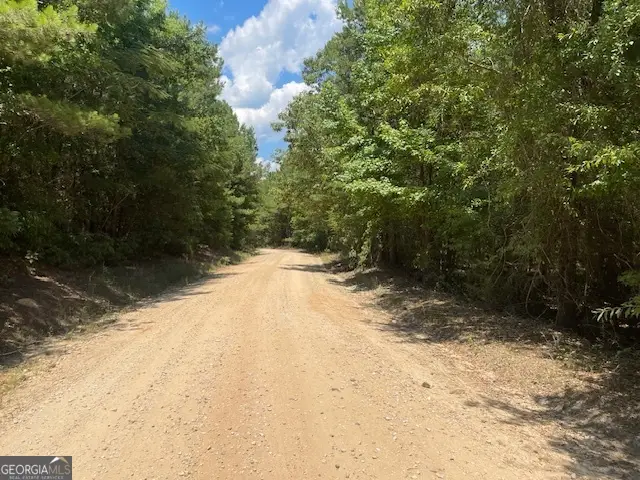 TRACT 3 AND 4 Sheppard Road, Franklin, GA 30217 - Image #2