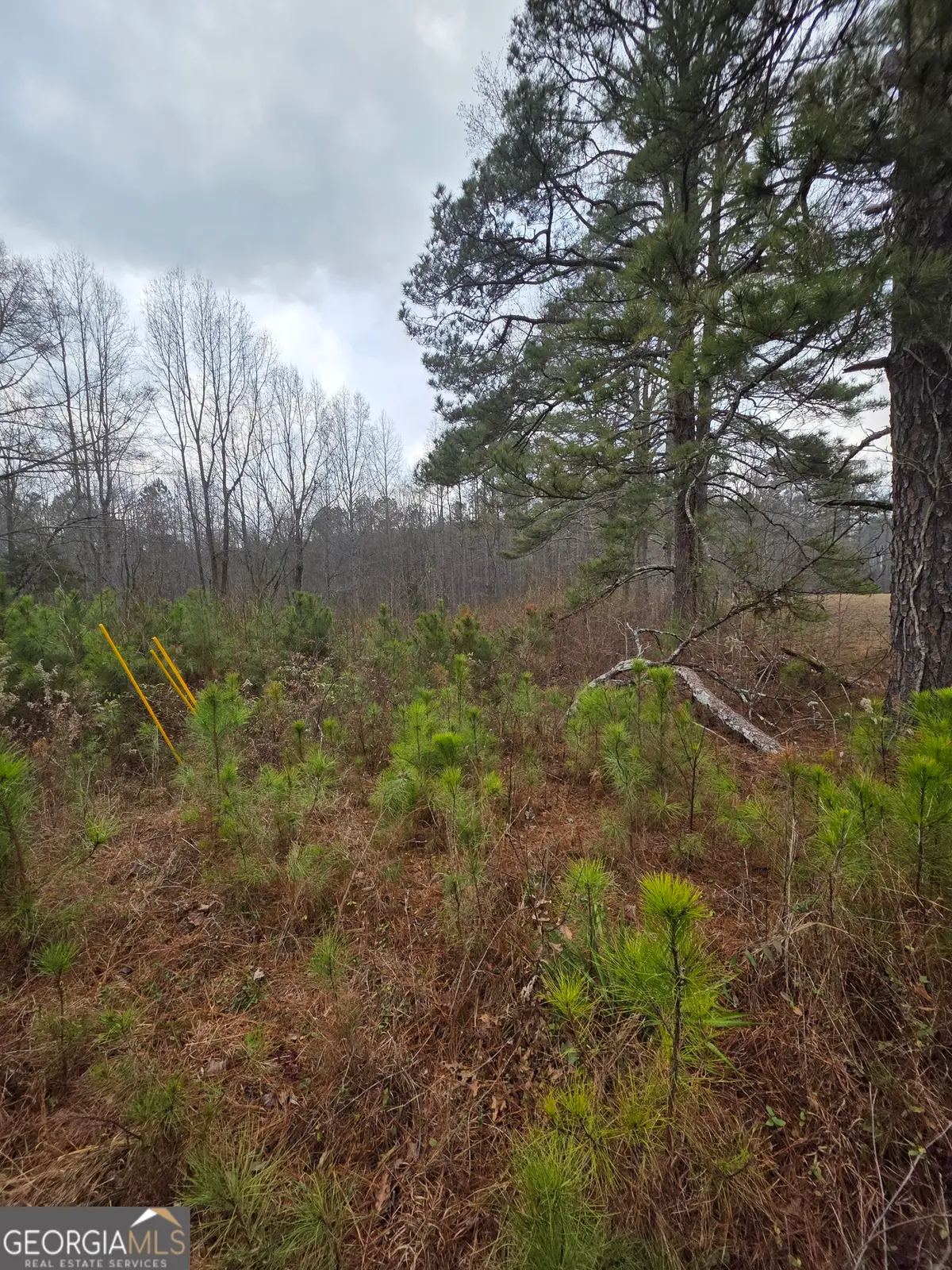 5534 Steadman Road, Tallapoosa, GA 30176 - Image #1