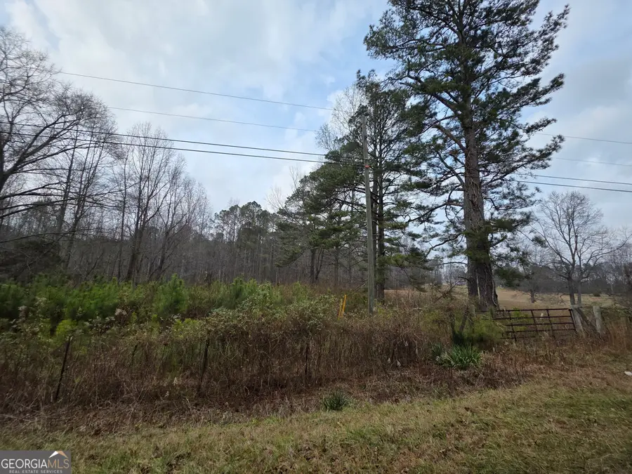 5534 Steadman Road, Tallapoosa, GA 30176 - Image #2