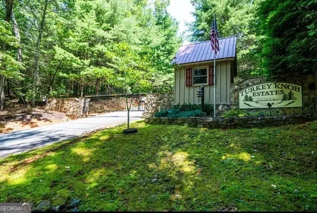 0 Oceola Drive, Ellijay, GA 30540 - Image #2