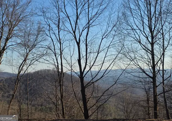 0 Big Creek Road, Ellijay, GA 30536