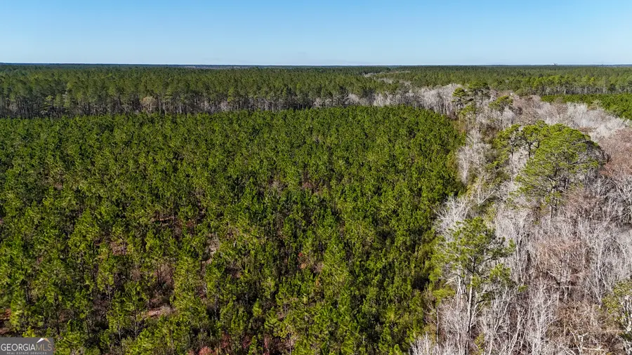 29 AC Owens Road, Odum, GA 31555 - Image #3