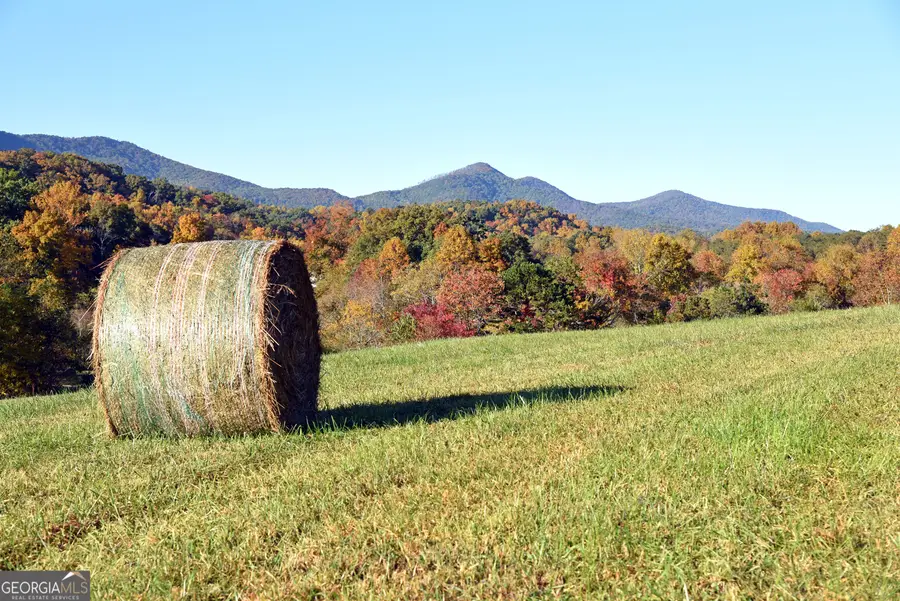 TRACT11B Great Escape Place, Blairsville, GA 30512 - Image #2