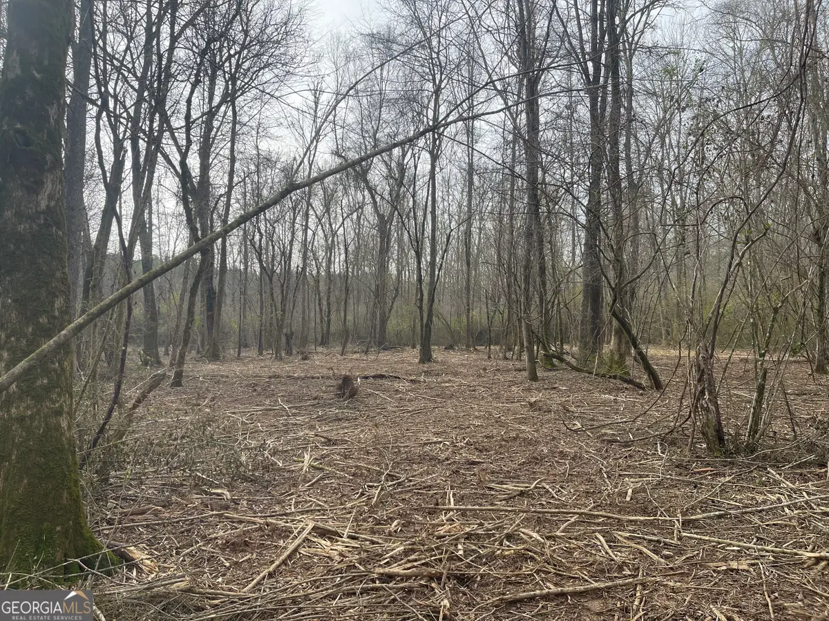 0 Bevis Road #LOT 1, Franklin, GA 30217 - Image #1