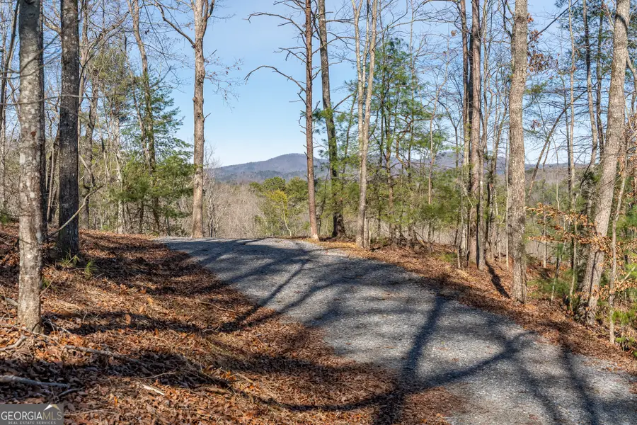 LOT 32R Woodring Branch Road, Ellijay, GA 30540 - Image #3