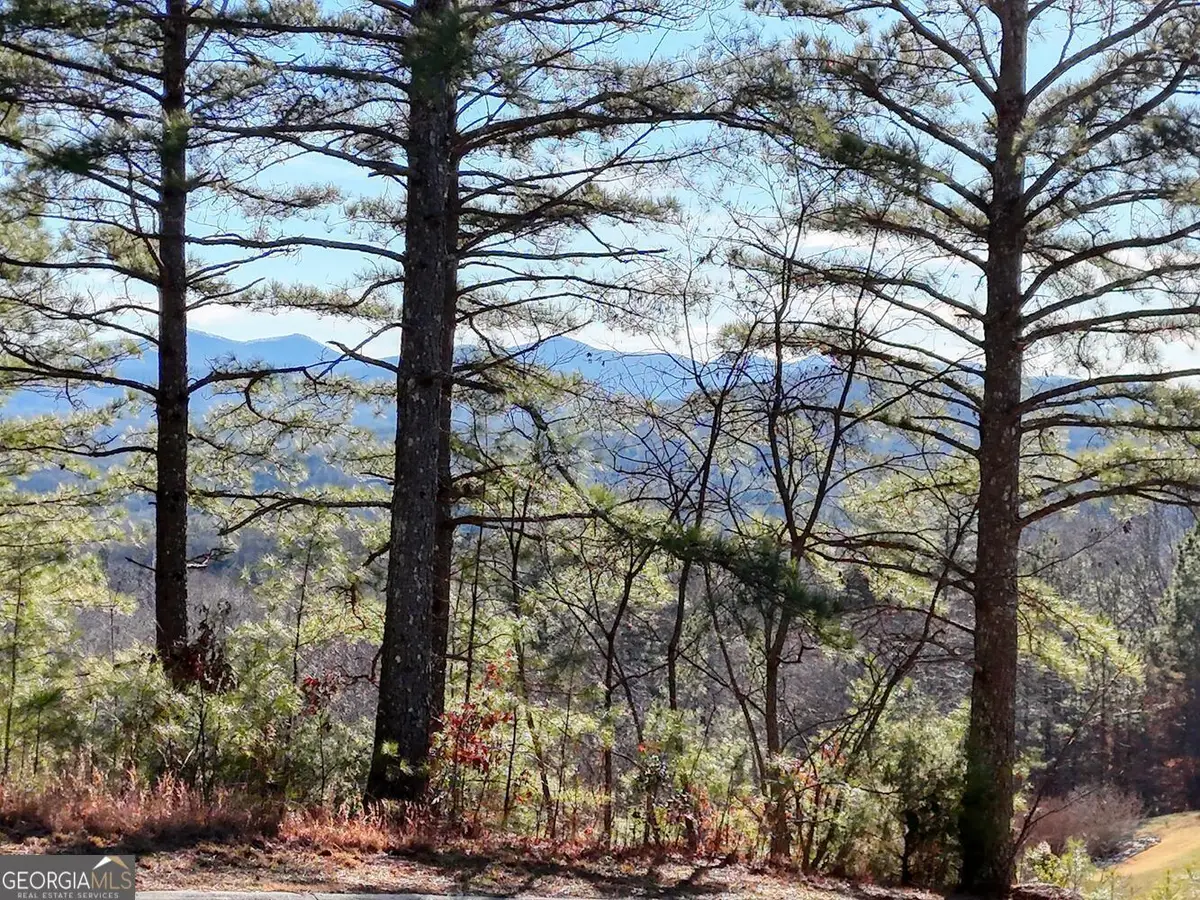 26 Sunset View, Blairsville, GA 30512 - #1