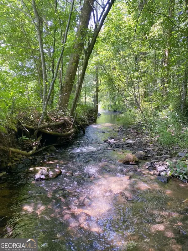 0 Highway 19 N N, Dahlonega, GA 30533