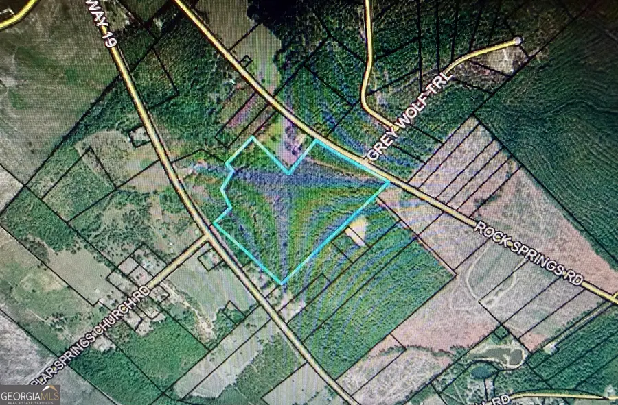 0 Rock Springs Road, Dublin, GA 31021 - Image #2