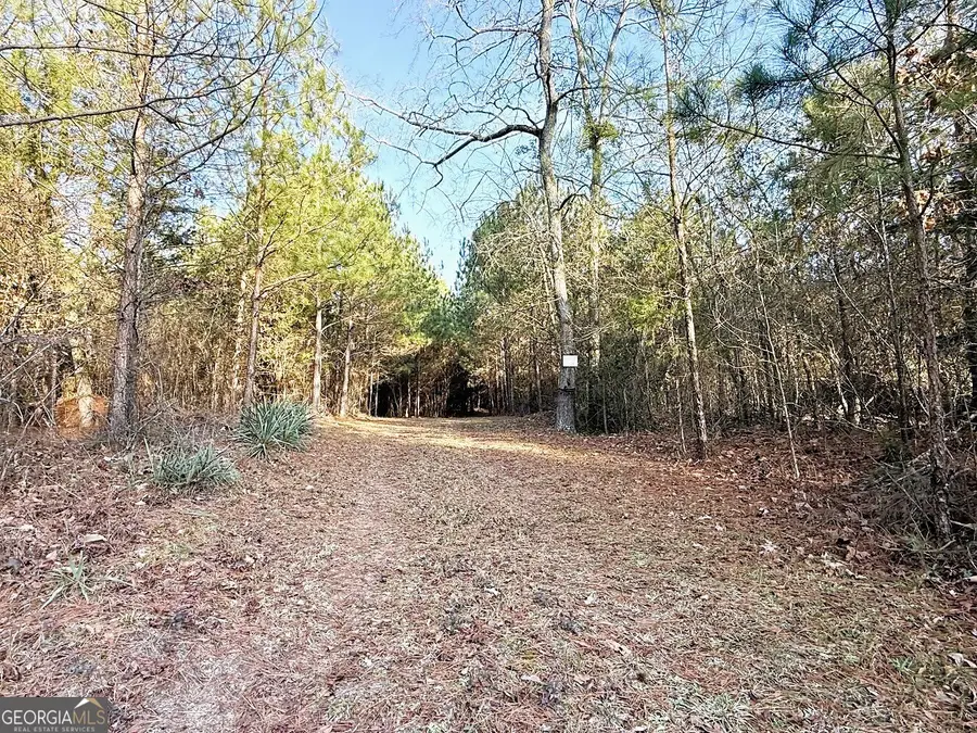 0 Stinchcomb Road, Elberton, GA 30635 - Image #3