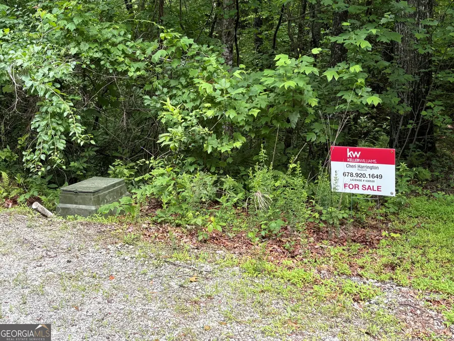 0 Alto Lane, Rabun Gap, GA 30568 - Image #2