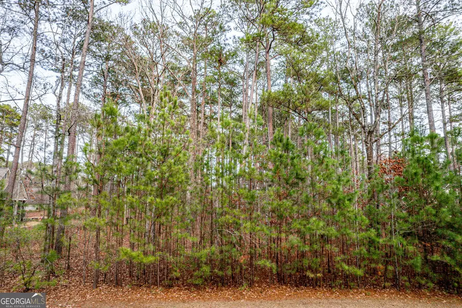 1770 Garners Ferry, Greensboro, GA 30642 - Image #2