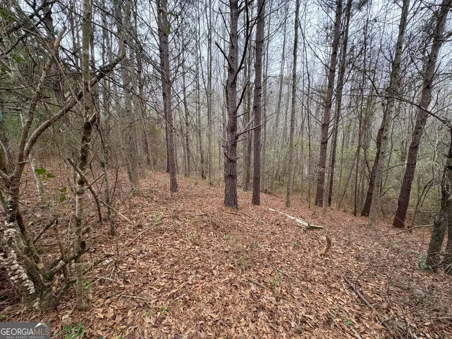 125 Cardell Farms Road #57, Locust Grove, GA 30248 - Image #3