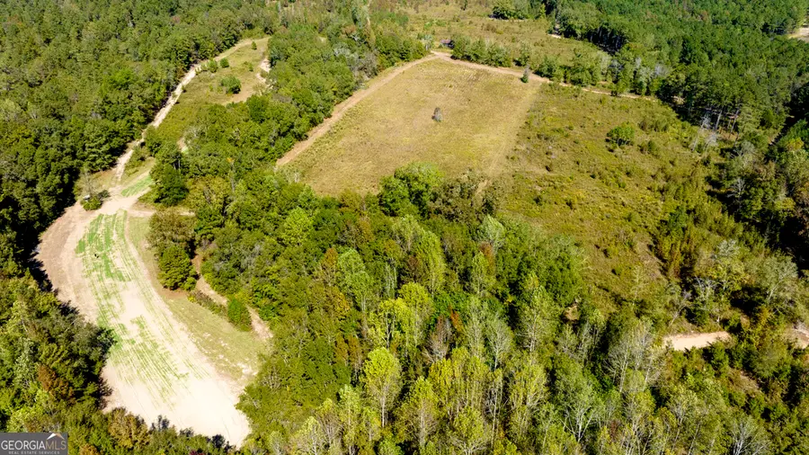 0 Poole Road, Ellaville, GA 31806 - Image #3