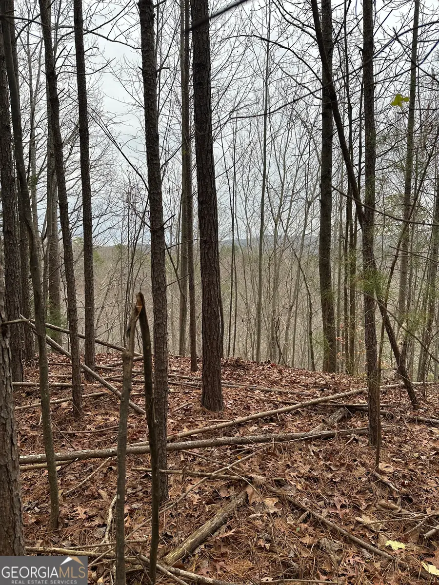 306 Oberlin Court, Ranger, GA 30734 - Image #2