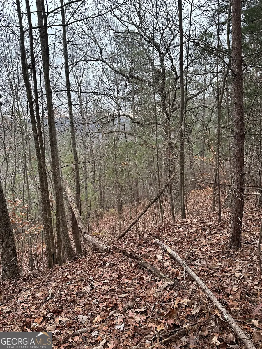 306 Oberlin Court, Ranger, GA 30734 - Image #3