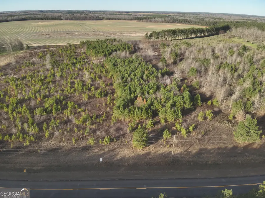 7 N County Line Road, Elko, GA 31025 - Image #2