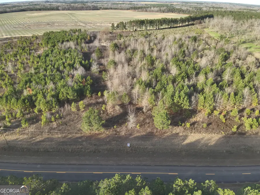 7 N County Line Road, Elko, GA 31025 - Image #3