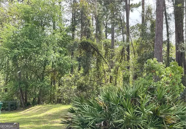 2.18 Acres Sailfish Drive, Darien, GA 31305