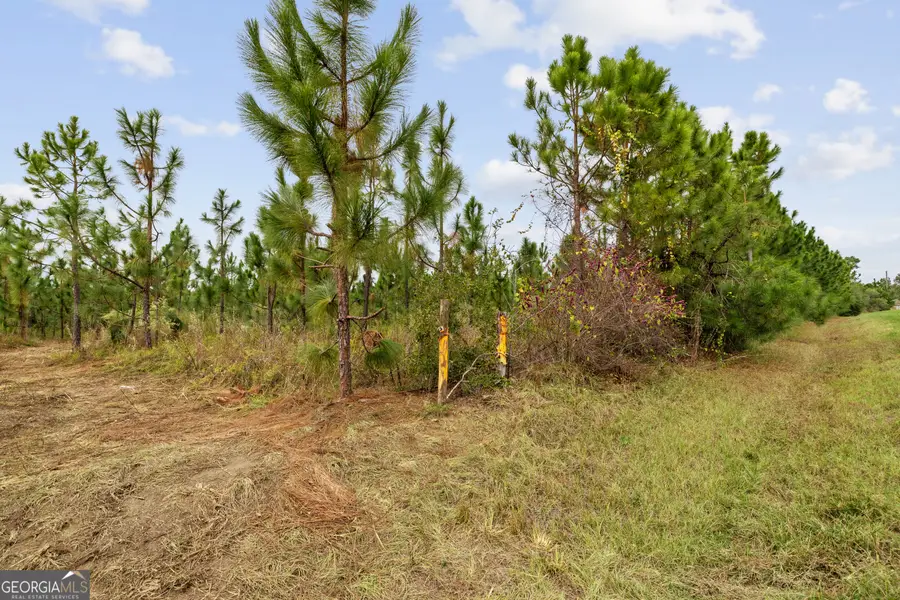 0 Highway 297 #TRACTS 2, 3, 4 & 5, Soperton, GA 30457 - Image #3