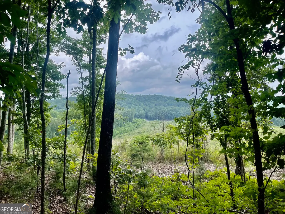 0 White Oak Rd, Summerville, GA 30747 - Image #1