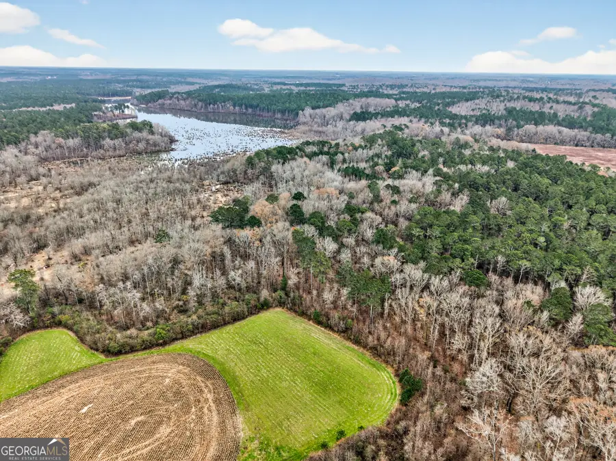 0 Newborn Road, Newborn, GA 30056 - Image #3