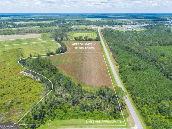 600 Teakwood Road, Alma, GA 31510