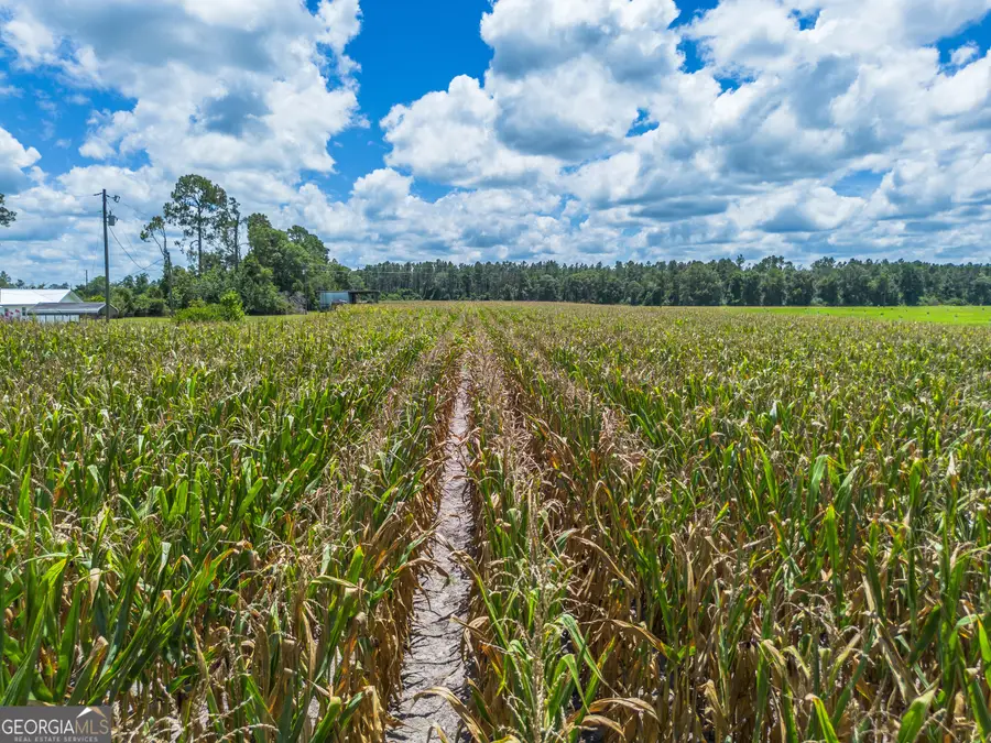 598 Teakwood Road, Alma, GA 31510 - Image #2