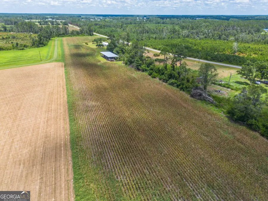 598 Teakwood Road, Alma, GA 31510 - Image #3