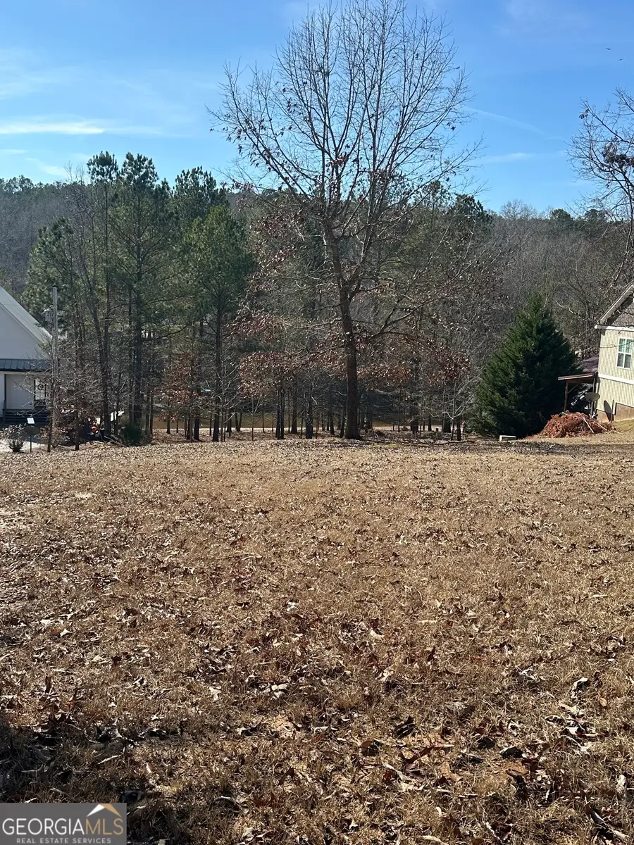 199 Lakewood Drive, Wedowee, AL 36278 - Image #3