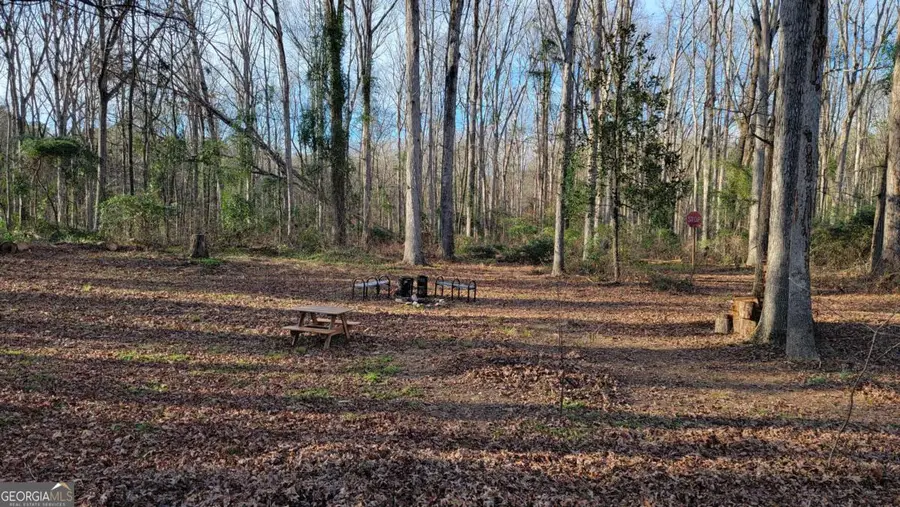 74 Wolfskin Road, Arnoldsville, GA 30619 - Image #3