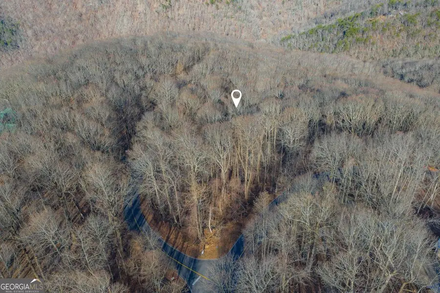 0 High Cliff Road, Jasper, GA 30143 - Image #2