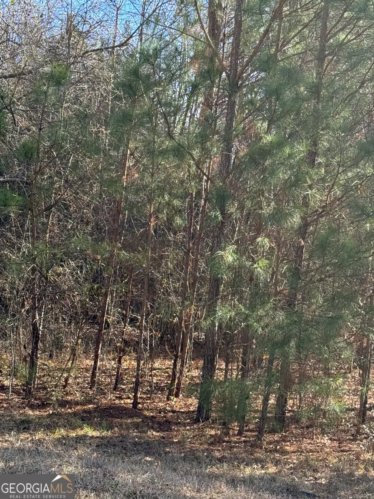 13905 Brown Bridge Road, Covington, GA 30016 - Image #1