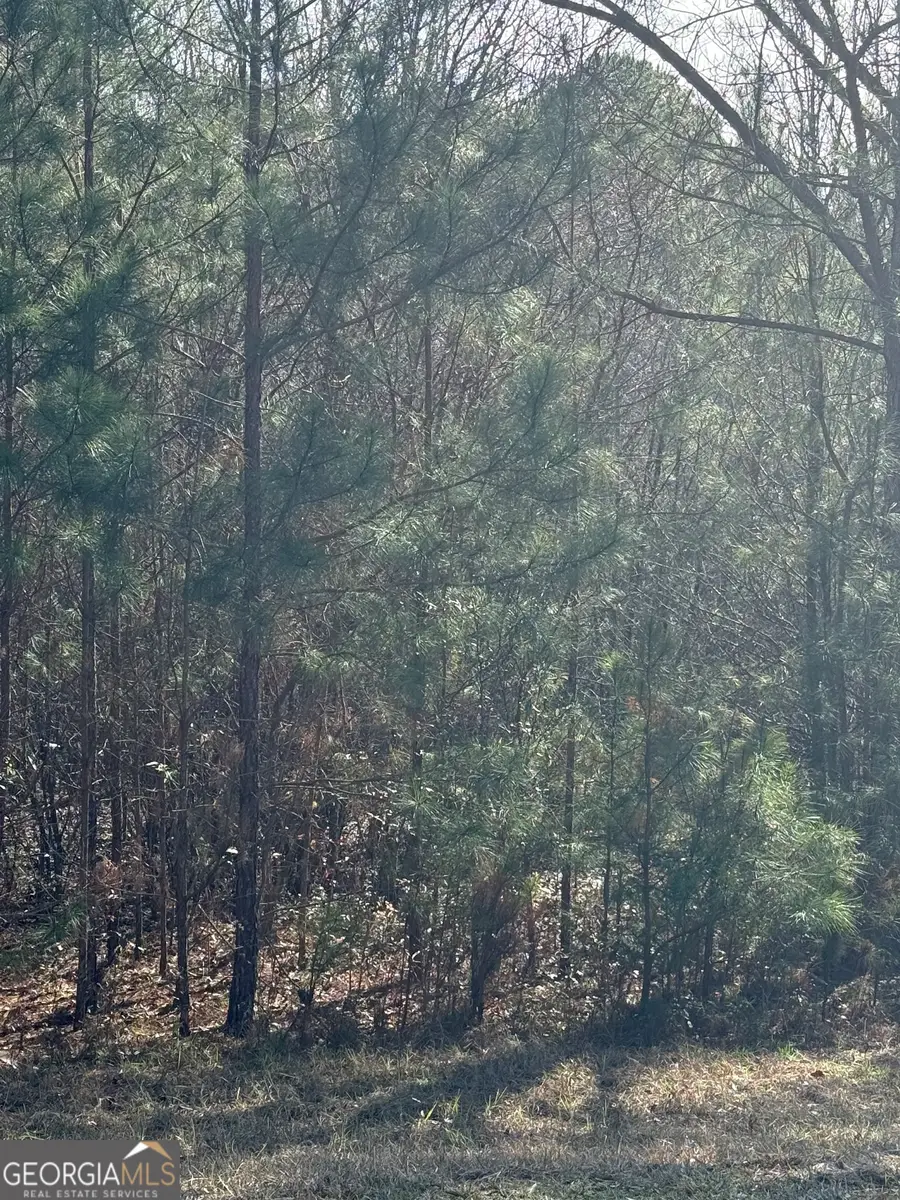 13905 Brown Bridge Road, Covington, GA 30016 - Image #3