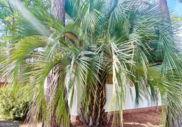 1031 Moore Haven Circle Ne, Townsend, GA 31331