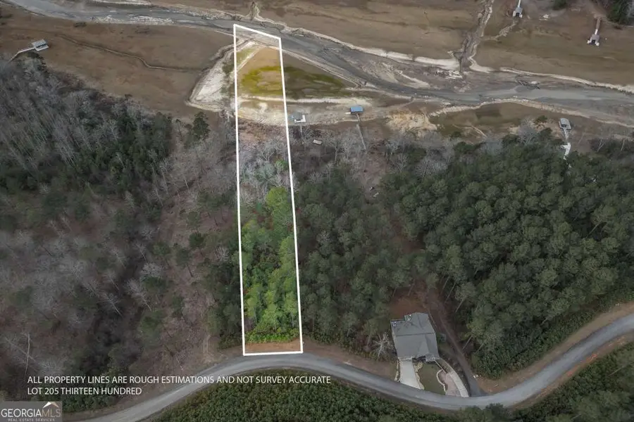 LOT 205 The Cove @ 1300, Blairsville, GA 30512 - Image #2