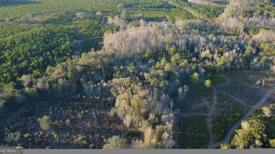 3376 Pine Cone Trail, Mershon, GA 31551 - Image #2