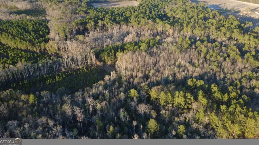 3376 Pine Cone Trail, Mershon, GA 31551 - Image #3